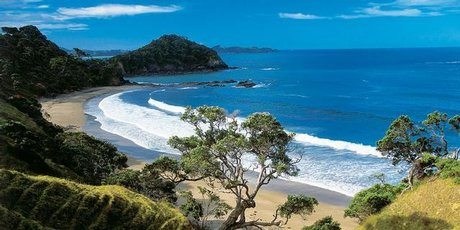 Unknown Artist New Zealand sea